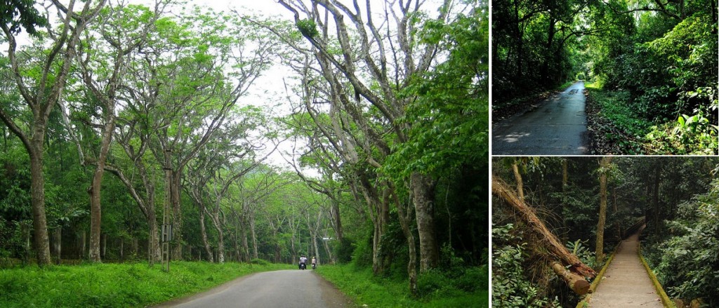 taxi nội bài đi cúc phương ninh bình-4