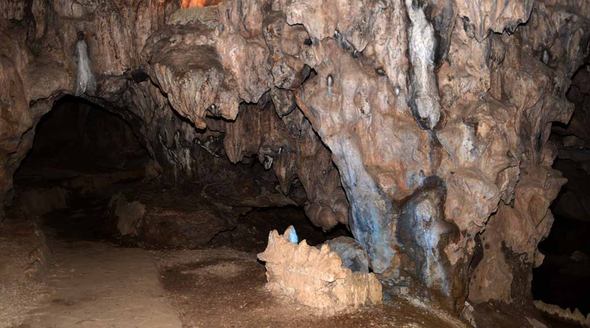 taxi nội bài đi lạng sơn-6