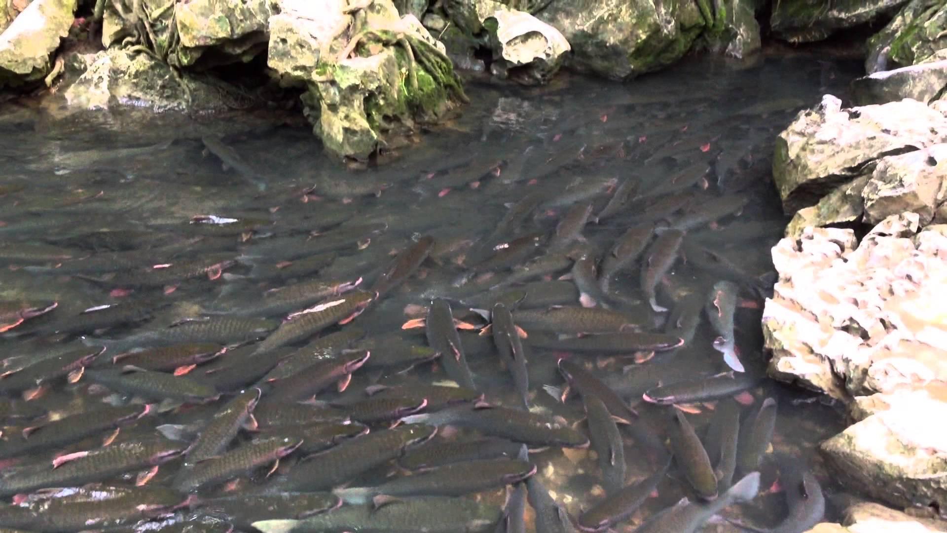 taxi nội bài đi thanh hóa-7