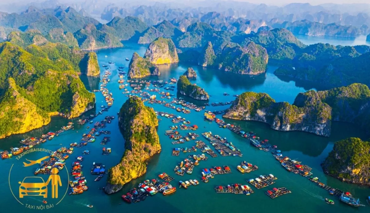 Thuê xe 16 chỗ du lịch Cát Bà giá ưu đãi tới 15%, đón tận nơi