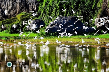 Taxi Nội Bài đi Yên Mô Ninh Bình Giá Rẻ