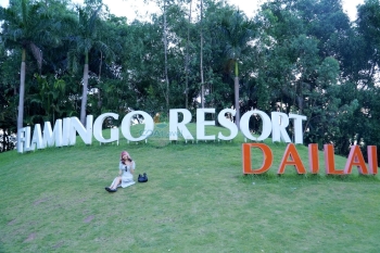 Hướng Dẫn Thuê Xe Nội Bài đi Famingo Đại lải Giá tốt