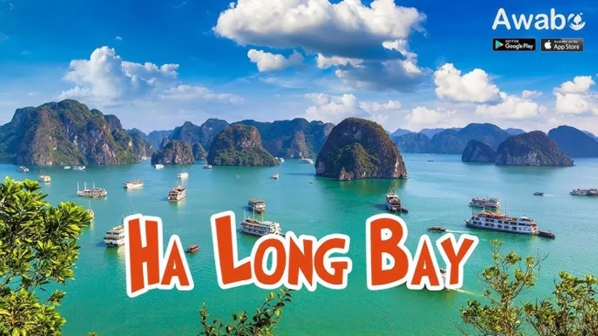 Dịch vụ Taxi Hà nội đi Hạ long Giá Rẻ