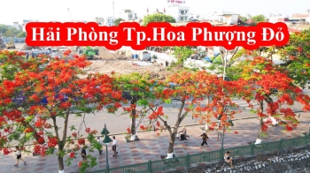 Taxi Nội Bài đi Hải Phòng Giá Rẻ