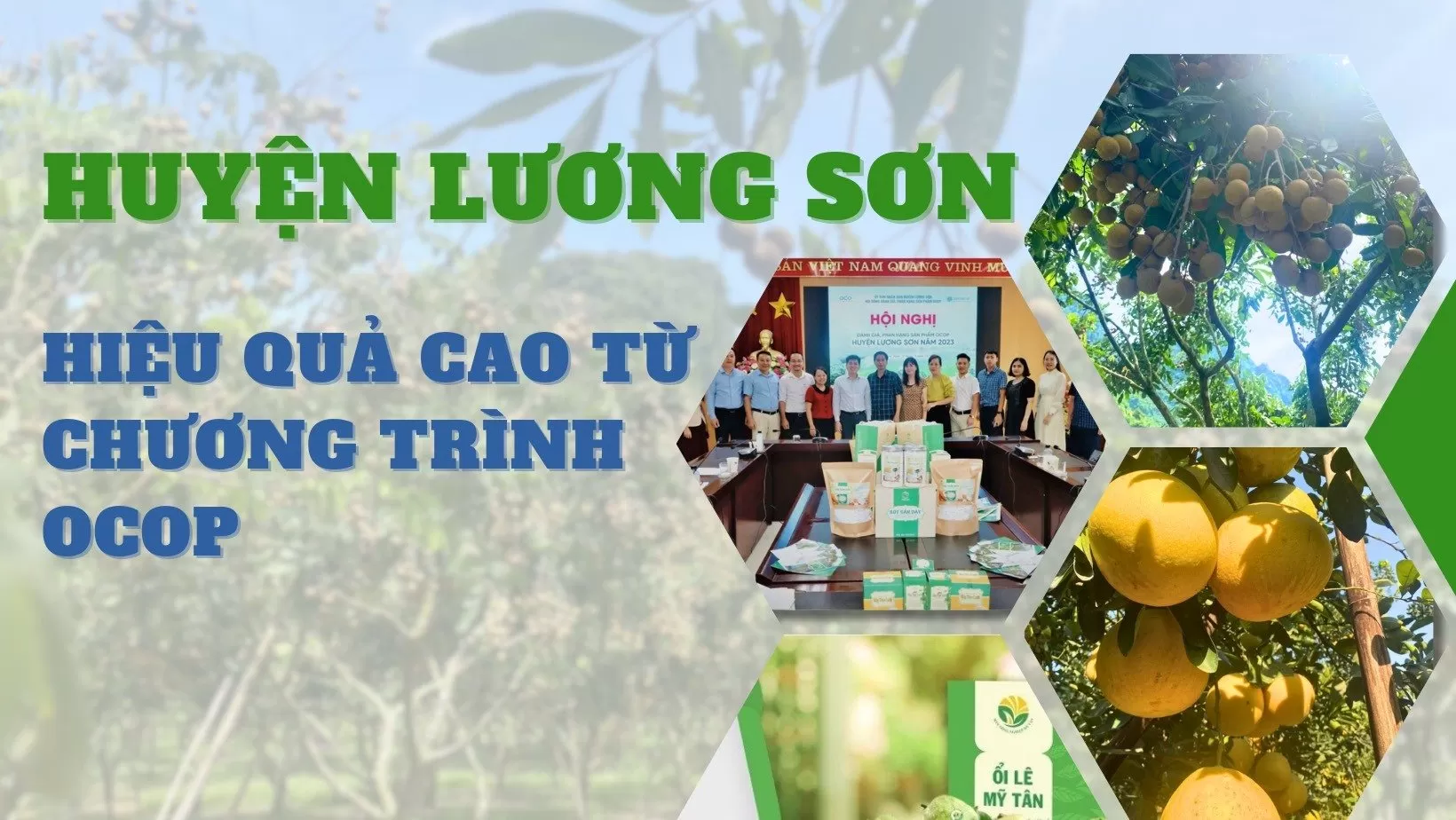 Taxi Nội Bài đi Lương Sơn Hoà Bình