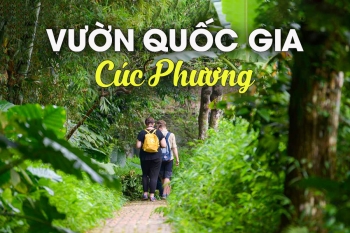 Taxi Nội Bài đi Cúc Phương Ninh Bình giá rẻ